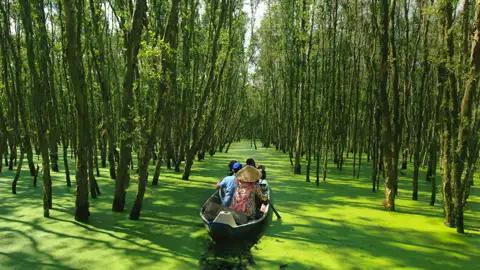 Auf Ihrer Marco Polo Rundreise durch Vietnam besuchen Sie auch das Mekongdelta, das Sie per Boot und Fahrrad erkunden.