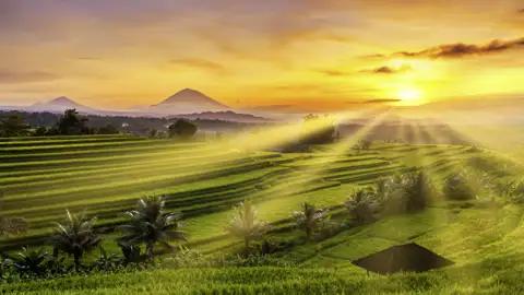 Bei Ihrer Marco Polo Reise in der Mini-Gruppe durch Bali können Sie sich nicht sattsehen an Reisterrassen, Vulkangipfeln und Sonnenuntergängen.