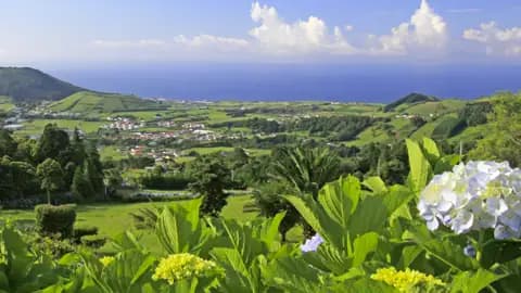 Immer wieder bieten sich uns auf der Rundreise Ausblicke auf die grüne Hügellandschaft der Azoren und dem Meer im Hintergrund, im Sommer blühen die Hortensien.